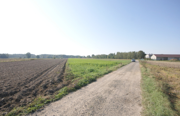 Działka rolno budowlana 96a Rudka Gołębska