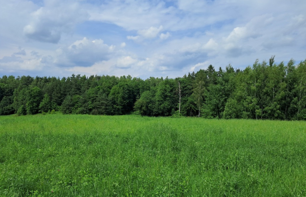Bajecznie usytuowane siedlisko pod Bychawą