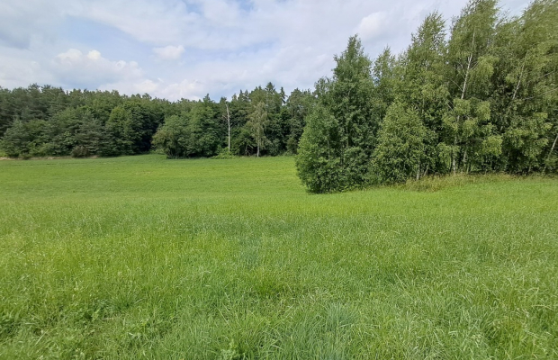 Bajecznie usytuowane siedlisko pod Bychawą