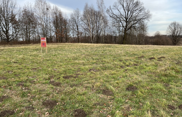 Działka wielofunkcyjna 0.87 ha w Kazimierzu Dolnym