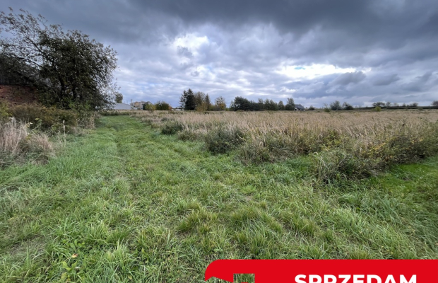 Działka z wykonanym podziałem w Końskowoli