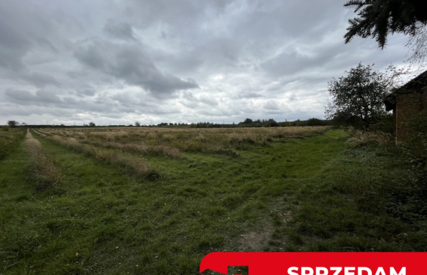 Działka z wykonanym podziałem w Końskowoli