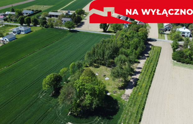 Uporządkowana działka 20a Wola Duża Kol.