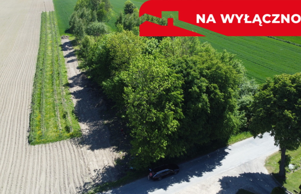 Uporządkowana działka 20a Wola Duża Kol.