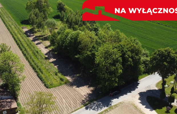 Uporządkowana działka 20a Wola Duża Kol.