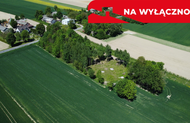Uporządkowana działka 20a Wola Duża Kol.