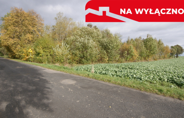 Uporządkowana działka 20a Wola Duża Kol.