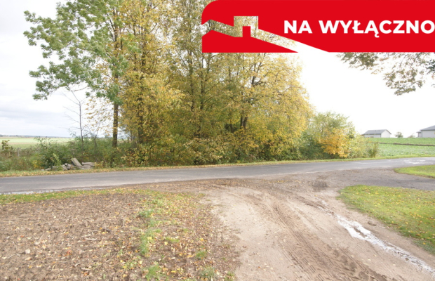 Uporządkowana działka 20a Wola Duża Kol.