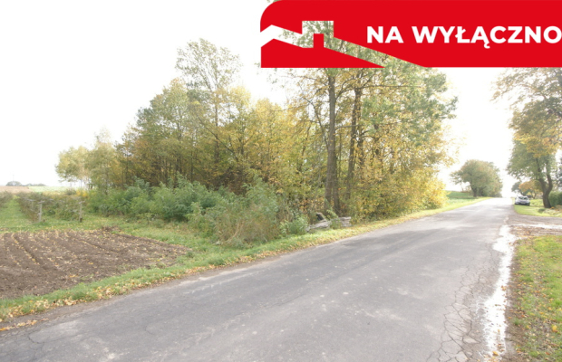 Uporządkowana działka 20a Wola Duża Kol.