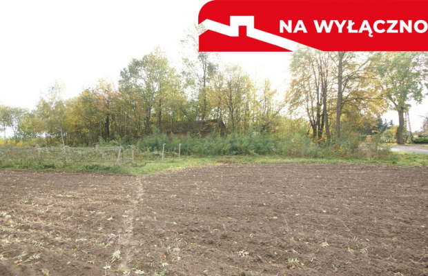 Uporządkowana działka 20a Wola Duża Kol.
