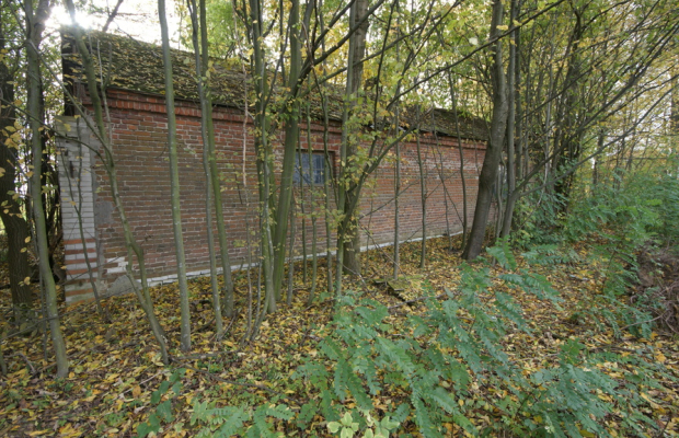 Siedlisko (działka z zabudową) 20a Wola Duża Kol.