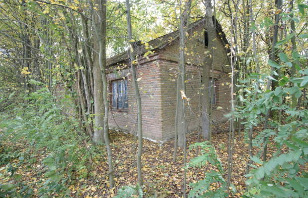 Siedlisko (działka z zabudową) 20a Wola Duża Kol.