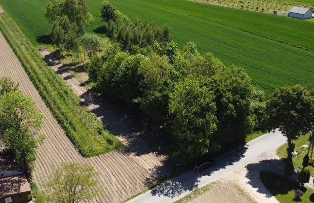 Siedlisko (działka z zabudową) 20a Wola Duża Kol.