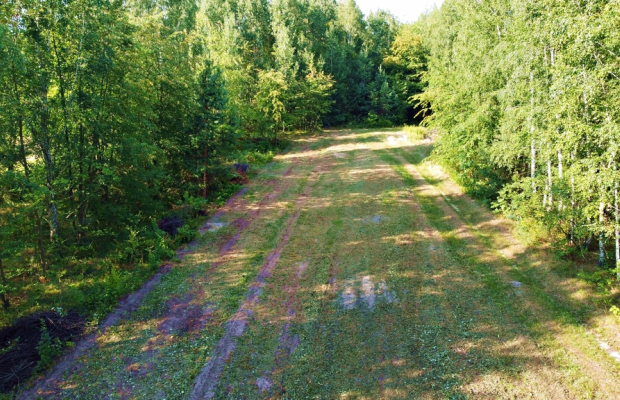 Działka w malowniczej okolicy blisko Kazimierza