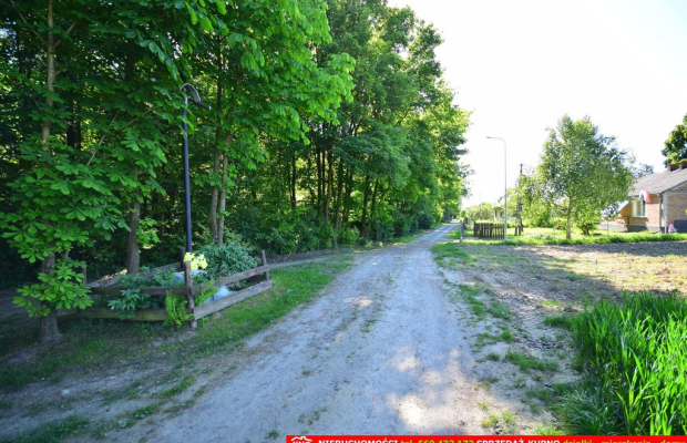 Działka rolno-budowlana bezpośrednio przy lesie.