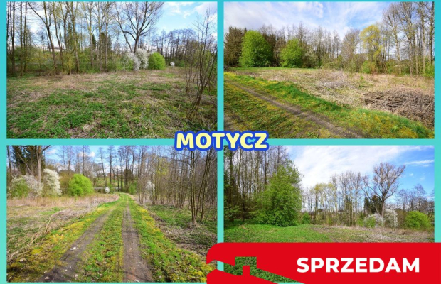 Działka o pow. 3115 m², blisko szkoła, MPK.