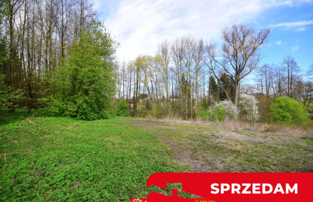 Działka o pow. 3115 m², blisko szkoła, MPK.