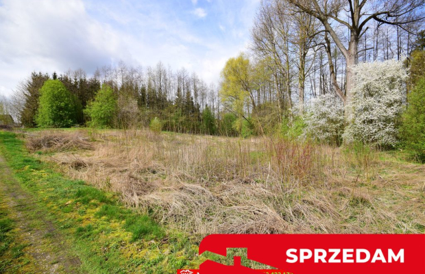 Działka o pow. 3115 m², blisko szkoła, MPK.