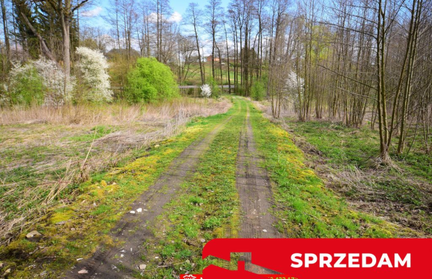Działka o pow. 3115 m², blisko szkoła, MPK.