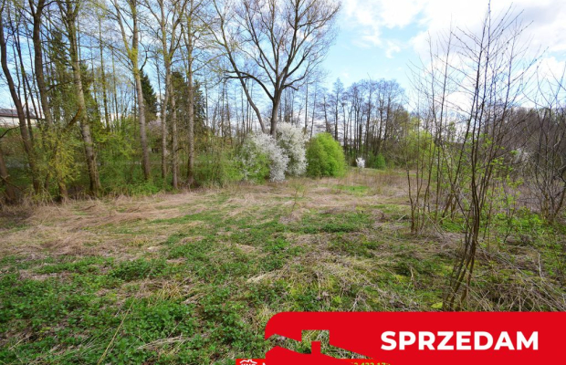 Działka o pow. 3115 m², blisko szkoła, MPK.