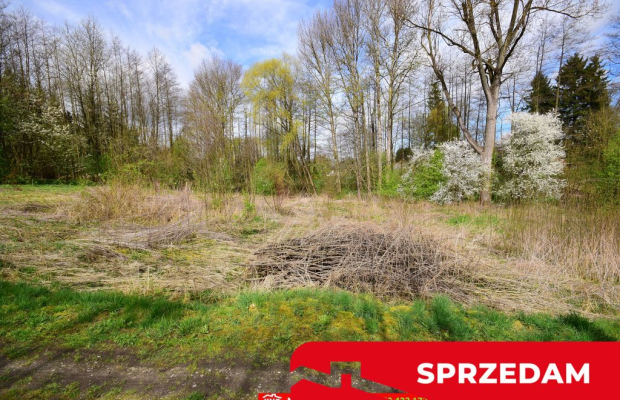 Działka o pow. 3115 m², blisko szkoła, MPK.