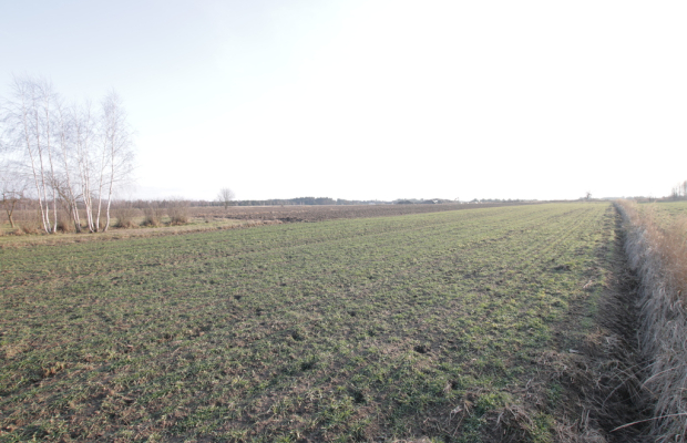 Działka budowlana blisko Lubartowa tylko 4 km