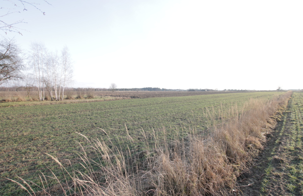 Działka budowlana blisko Lubartowa tylko 4 km
