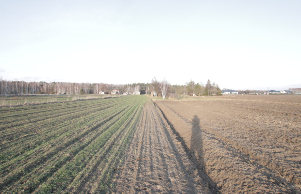 Działka budowlana blisko Lubartowa tylko 4 km