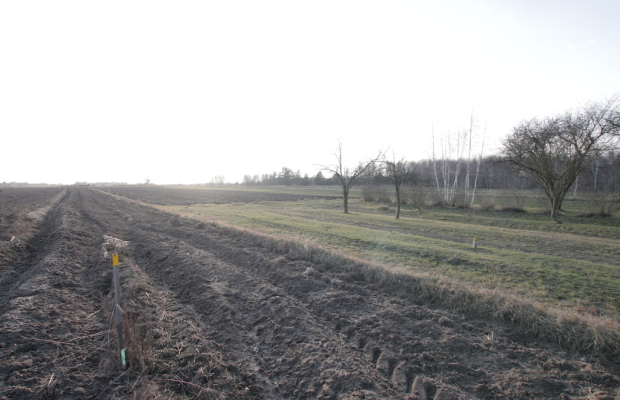 Działka budowlana blisko Lubartowa tylko 4 km