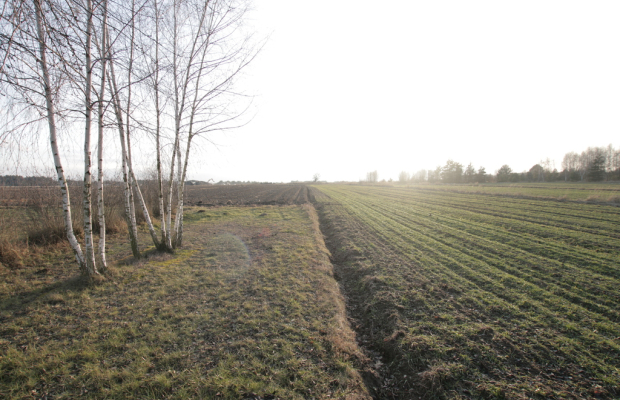 Działka budowlana blisko Lubartowa tylko 4 km