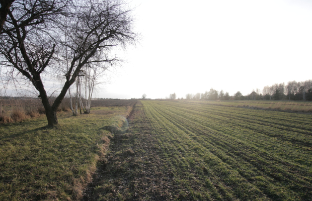 Działka budowlana blisko Lubartowa tylko 4 km