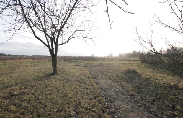 Działka budowlana blisko Lubartowa tylko 4 km