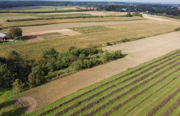 Działka, Motycz, 8.5ar, budownictwo jednorodzinne