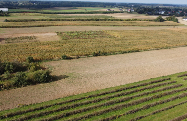 Działka, Motycz, 8.5ar, budownictwo jednorodzinne
