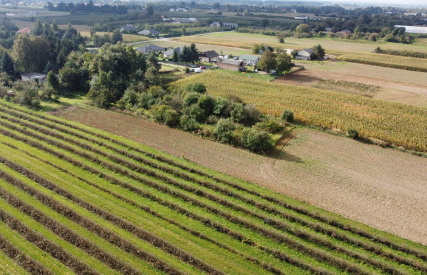 Działka, Motycz, 8.5ar, budownictwo jednorodzinne