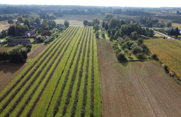 Działka, Motycz, 8.5ar, budownictwo jednorodzinne