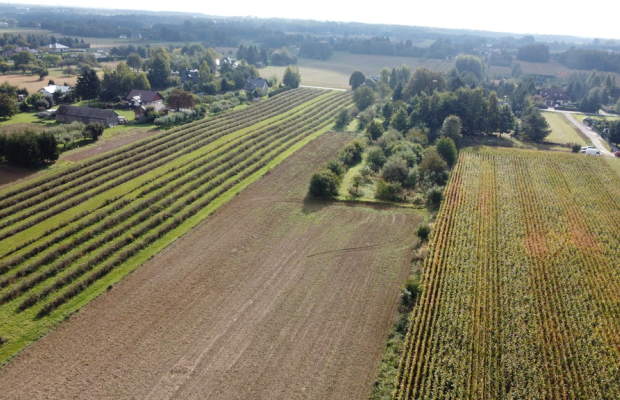 Działka, Motycz, 8.5ar, budownictwo jednorodzinne