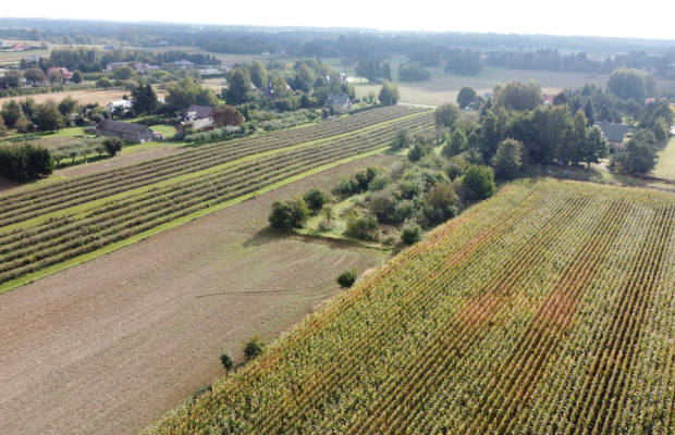 Działka, Motycz, 8.5ar, budownictwo jednorodzinne