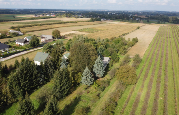 Działka, Motycz, 8.5ar, budownictwo jednorodzinne