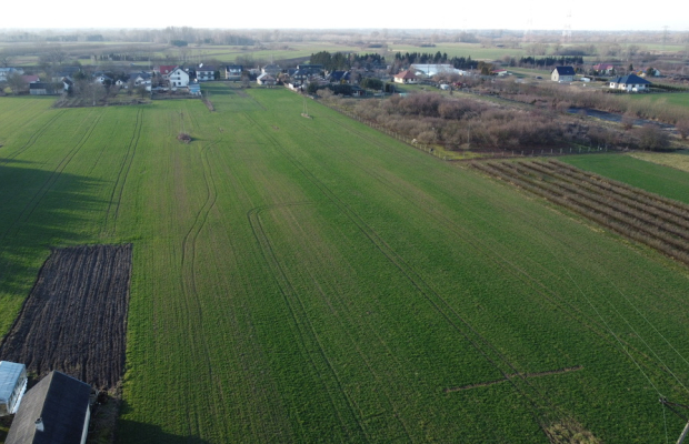 Działka rolno-budowlana 0,62 ha w Gołębiu k/Puław.