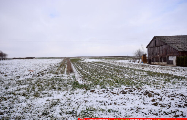 Siedlisko na wsi 35 km od Lublina.
