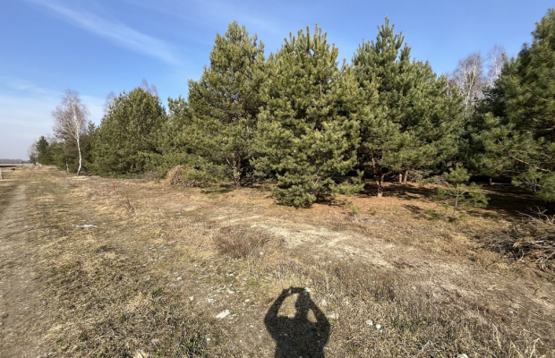 Działka z WZ w Wólce Gonciarskiej gm. Kazanów.