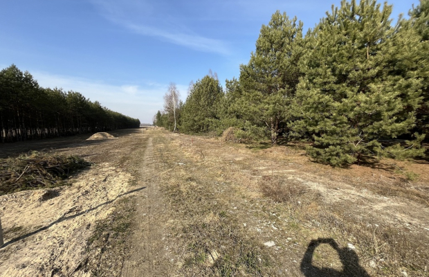Działka z WZ w Wólce Gonciarskiej gm. Kazanów.