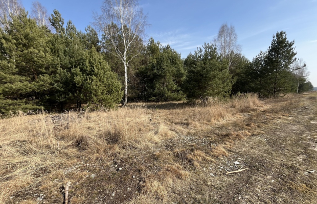 Działka z WZ w Wólce Gonciarskiej gm. Kazanów.