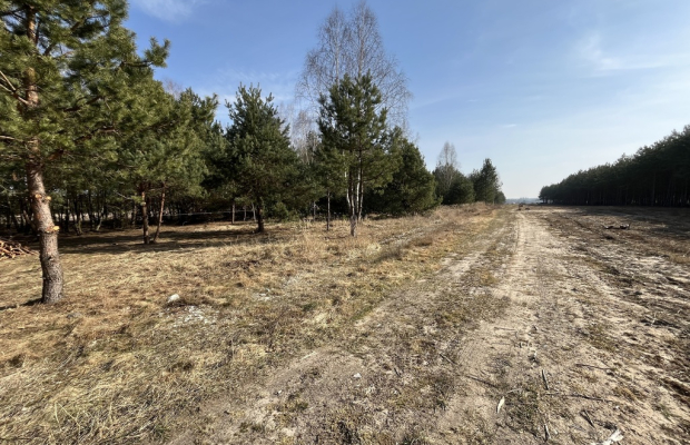 Działka z WZ w Wólce Gonciarskiej gm. Kazanów.