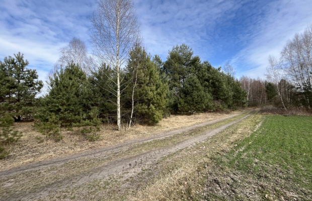 Działka o  pow. 1,63 ha w Karolowie gm. Chotcza.