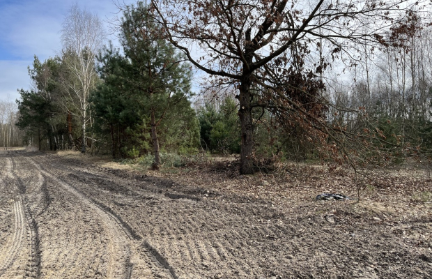 Działka o  pow. 1,63 ha w Karolowie gm. Chotcza.