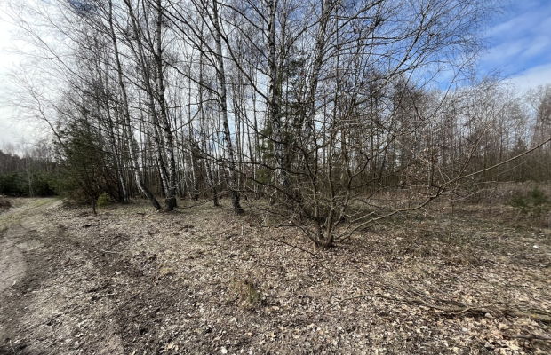 Działka o  pow. 1,63 ha w Karolowie gm. Chotcza.