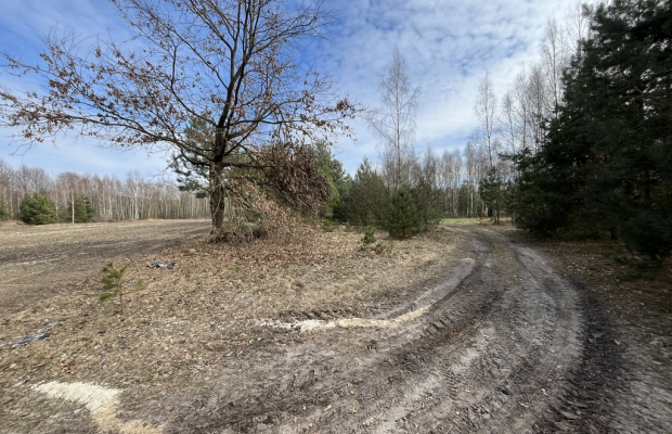 Działka o  pow. 1,63 ha w Karolowie gm. Chotcza.
