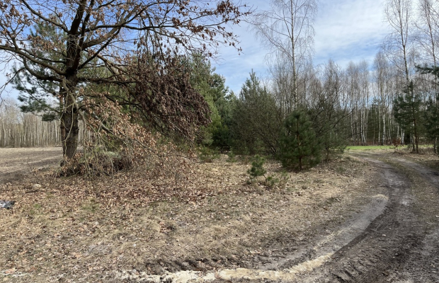 Działka o  pow. 1,63 ha w Karolowie gm. Chotcza.